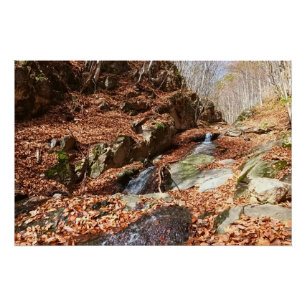 Bergwaterval - Wilde Natuur Roemenië Perfect Poster