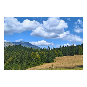 Bergweide Landschap - Wilde Natuur Roemenië Foto Afdruk