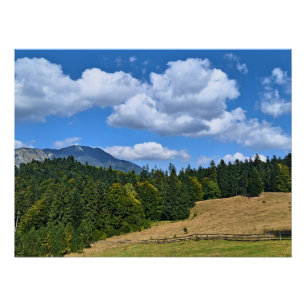 Bergweide Landschap - Wilde Natuur Roemenië Perfect Poster