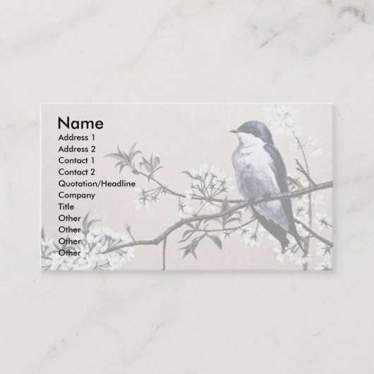 Bergzwaluw Visitekaartje (Voorkant)