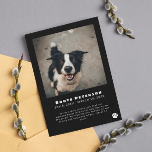 Berichten over foto's met witte afdruk Pet verlies Aankondiging