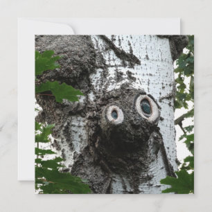 Berk ziel boom magische gezicht fotografie uitnodi kaart