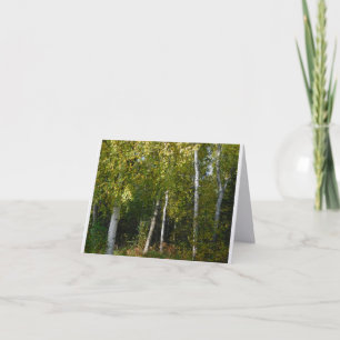 Berken Bomen Vouwbare Briefkaart