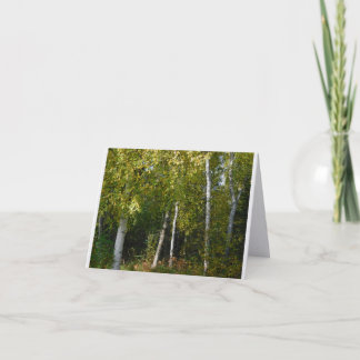 Berken Bomen Vouwbare Briefkaart