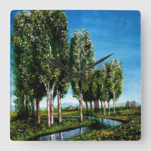BERKENBOMEN IN TUSCANIE VIERKANTE KLOK