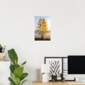 Berkenbomen Poster (Thuiskantoor)