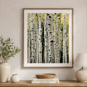 Berkenbomen Rustieke Blokhut Poster