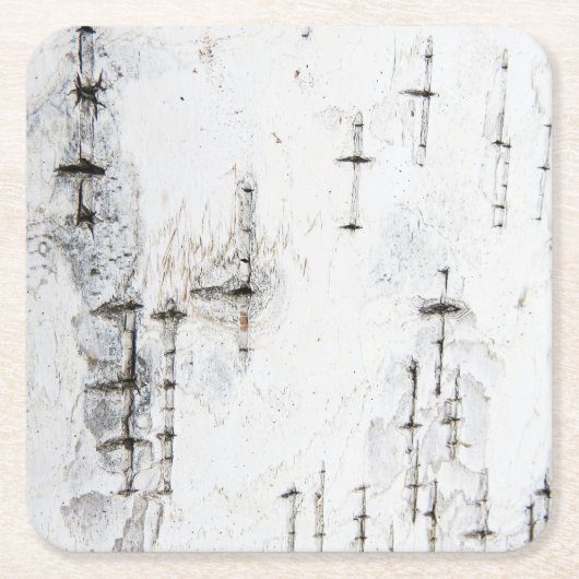 Berkenschors patroon onderzetters (Voorkant)