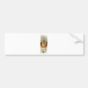 Berlijnse muur bumpersticker