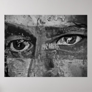 Berlijnse muur - visies van het verleden poster