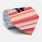 Berlin Clima Stripes Astronaut Cosmonaut 1918-2018 Stropdas (Opgerold)