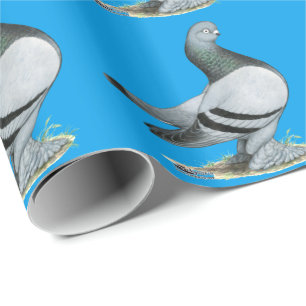 Berliner Tumbler Pigeon Blue Bar Cadeaupapier