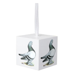 Berliner Tumbler Pigeon Blue Bar Kubus Ornament