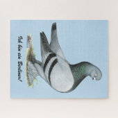 Berliner Tumbler Pigeon Blue Bar Legpuzzel (Horizontaal)