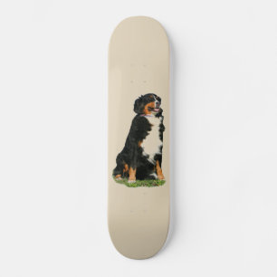 Bermese hond skateboard