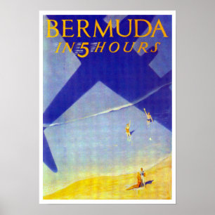 Bermud in 5 uur poster
