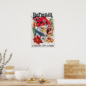 Bermuda Art Daniel Sweeney Impression Delta Airlin (Cuisine)