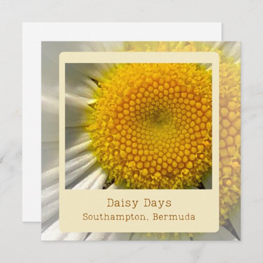 Bermuda Daisy Flat Kaart (Voorkant / Achterkant)