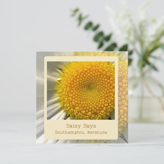 Bermuda Daisy Flat Kaart (Staand voorkant)