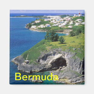 Bermuda magneet