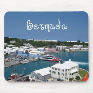 Bermuda. Muismat