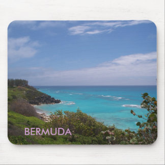 BERMUDA MUISMAT