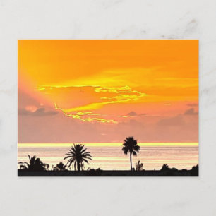 Bermuda Sunset Briefkaart