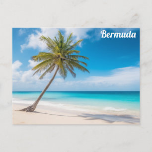 Bermuda Tropisch Strand Oceaan Palmboom Reizen Briefkaart