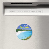 Bermudasmagneet Magneet (Insitu (Vaatwasser))