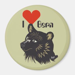 Bern Berna Schweiz Suisse Svizzera Svizra Magneet