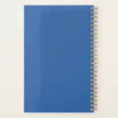 Bernaches du Canada en vol (Dos)