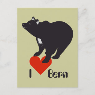 Berne Berne Berna Bärn Schweiz Carte postale suiss