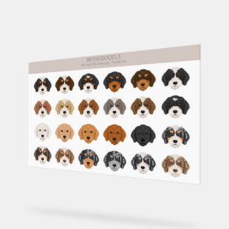 Bernedoodle Acryl Sign Acryl Bord