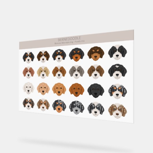 Bernedoodle Acryl Sign Acryl Bord (Hoek)