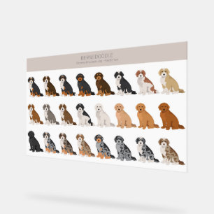 Bernedoodle Acryl Sign Bord