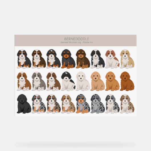 Bernedoodle Acryl Sign Bord (Voorkant)