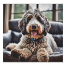 Bernedoodle Canvas Portret