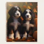 Bernedoodle Chiot Automne Citrouille de plaisir (Devant)