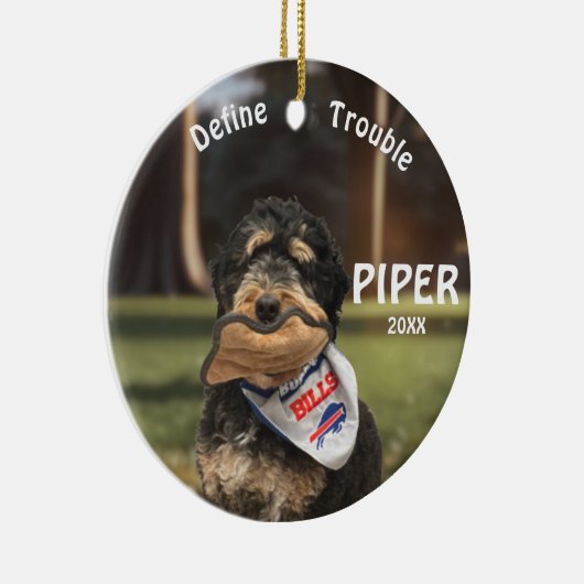 Bernedoodle Football Definieer Probleem Ornament (Rechts)