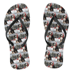 Bernedoodle-hond in de sneeuw met Kerstmis Teenslippers