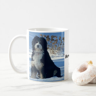 Bernedoodle hond sneeuw berg blauwe lucht foto naa koffiemok