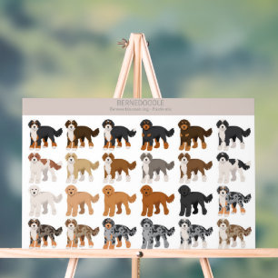 Bernedoodle hondenmix acryl bord