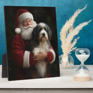 Bernedoodle met Sinterklaas Feestelijke Kerstmis Fotoplaat