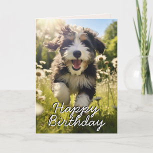 Bernedoodle personnalisé Bonne carte d'anniversair