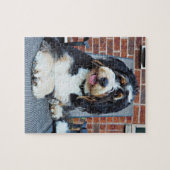 Bernedoodle puzzle legpuzzel (Horizontaal)