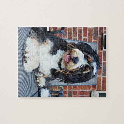 Bernedoodle puzzle legpuzzel (Horizontaal)
