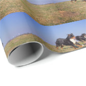 berner berg hond groep tweede cadeaupapier (Rol Hoek)