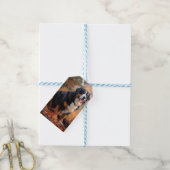 Berner berg in herfst laat Herfst inspireren Cadeaulabel (Met Touw)