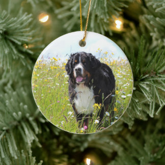 berner berghond in het veld keramisch ornament