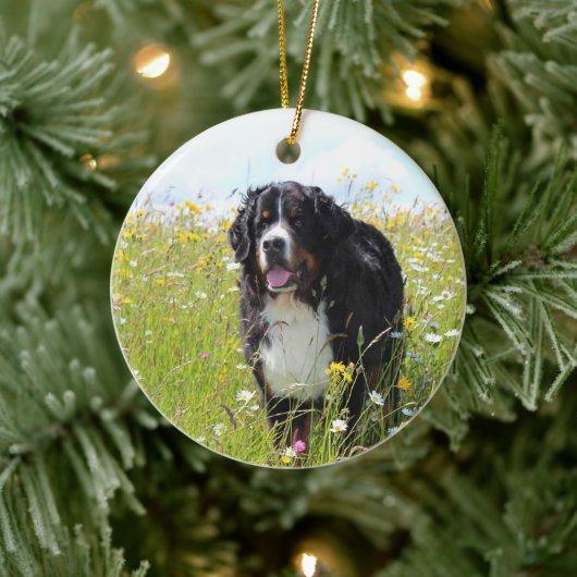 berner berghond in het veld keramisch ornament (Boom)